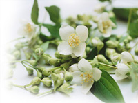 お葬式 葬儀のビデオ撮影・写真撮影は格安